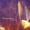 Desertshore - Drawing Of Threes