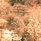 RED HOUSE PAINTERS: II - Bridge (4AD, 1993)