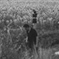 JESU/SUN KIL MOON (Caldo Verde Records, 2016)